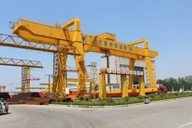 Dafang gantry crane