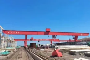 Double girder gantry cranes 6