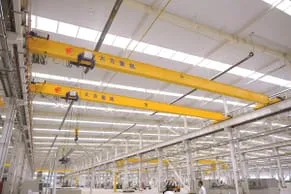 European type overhead crane 2